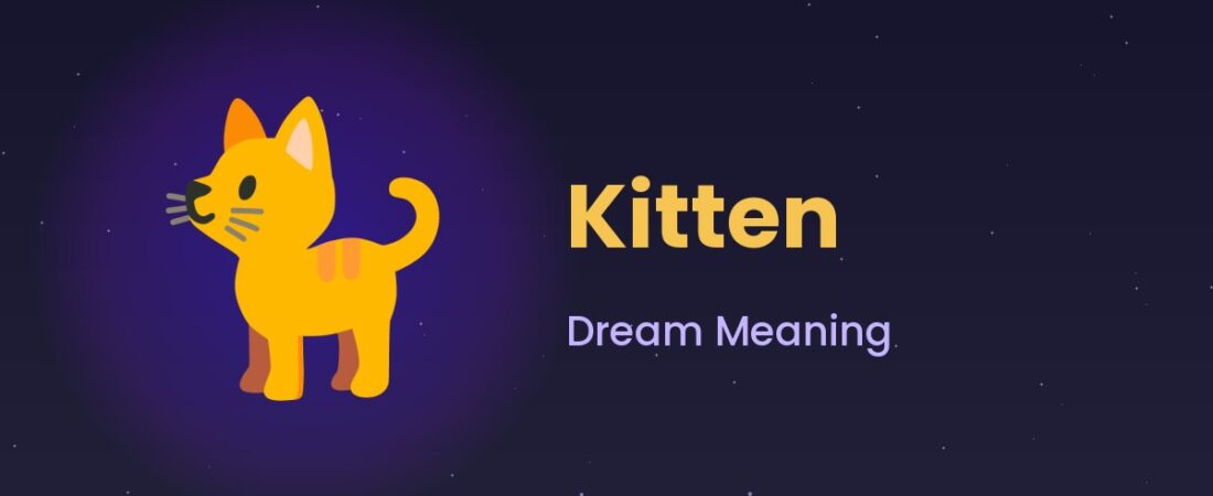 Kitten Dream Meaning 🐈 Vulnerability, Care & New Beginnings