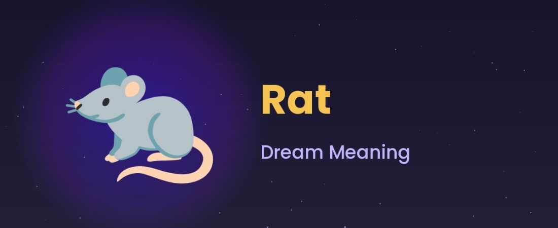 Rat Dream Meaning 🐀 Betrayal, Disgust & Hidden Enemies