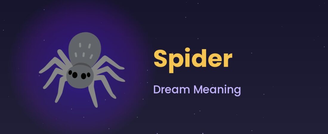 Spider Dream Meaning 🕷️ Webs, Fear & Feeling Trapped