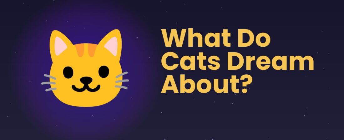 What Do Cats Dream About? 🐱 Inside the Sleeping Cat’s Brain